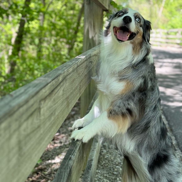 🙏🏽 THANK YOU 🙏🏽 - Picture 11 of 15